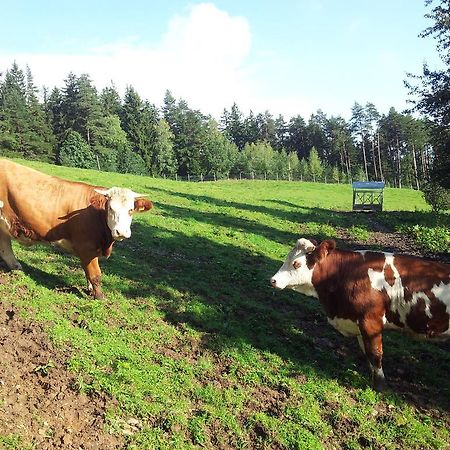 Hotel Tourist Farm Pri Ratu Selnica ob Dravi Zewnętrze zdjęcie