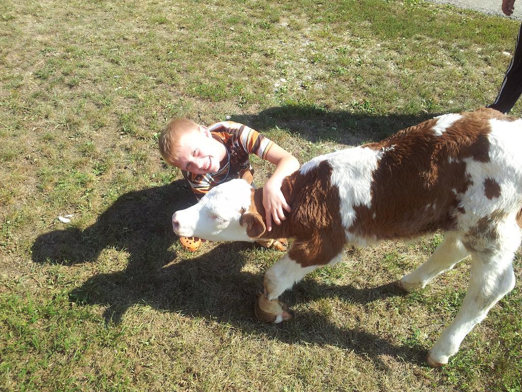 Hotel Tourist Farm Pri Ratu Selnica ob Dravi Zewnętrze zdjęcie