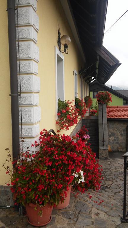 Hotel Tourist Farm Pri Ratu Selnica ob Dravi Zewnętrze zdjęcie